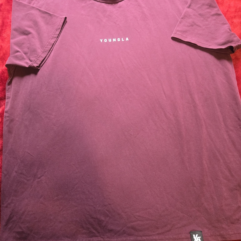 YoungLA Short Sleeve Tee in Mauve